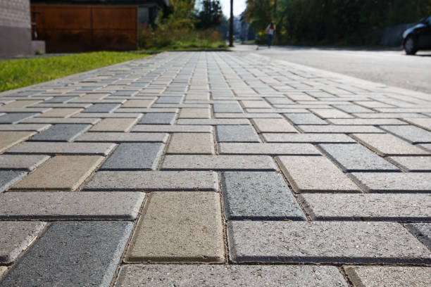 Best Driveway Paving Contractor  in Lexington, TN