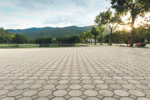 Best Concrete Paver Driveway  in Lexington, TN