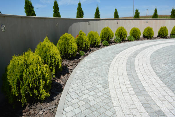 Reasons to Select Us for Your Driveway Paving Requirements in Lexington, TN